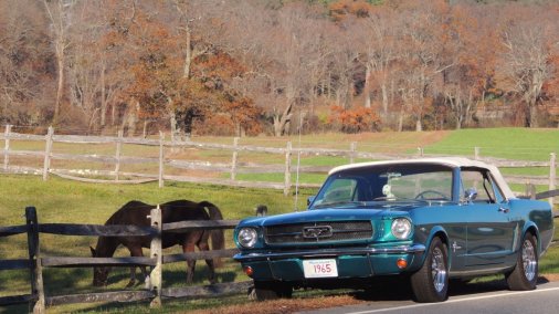 1965 Ford Mustang