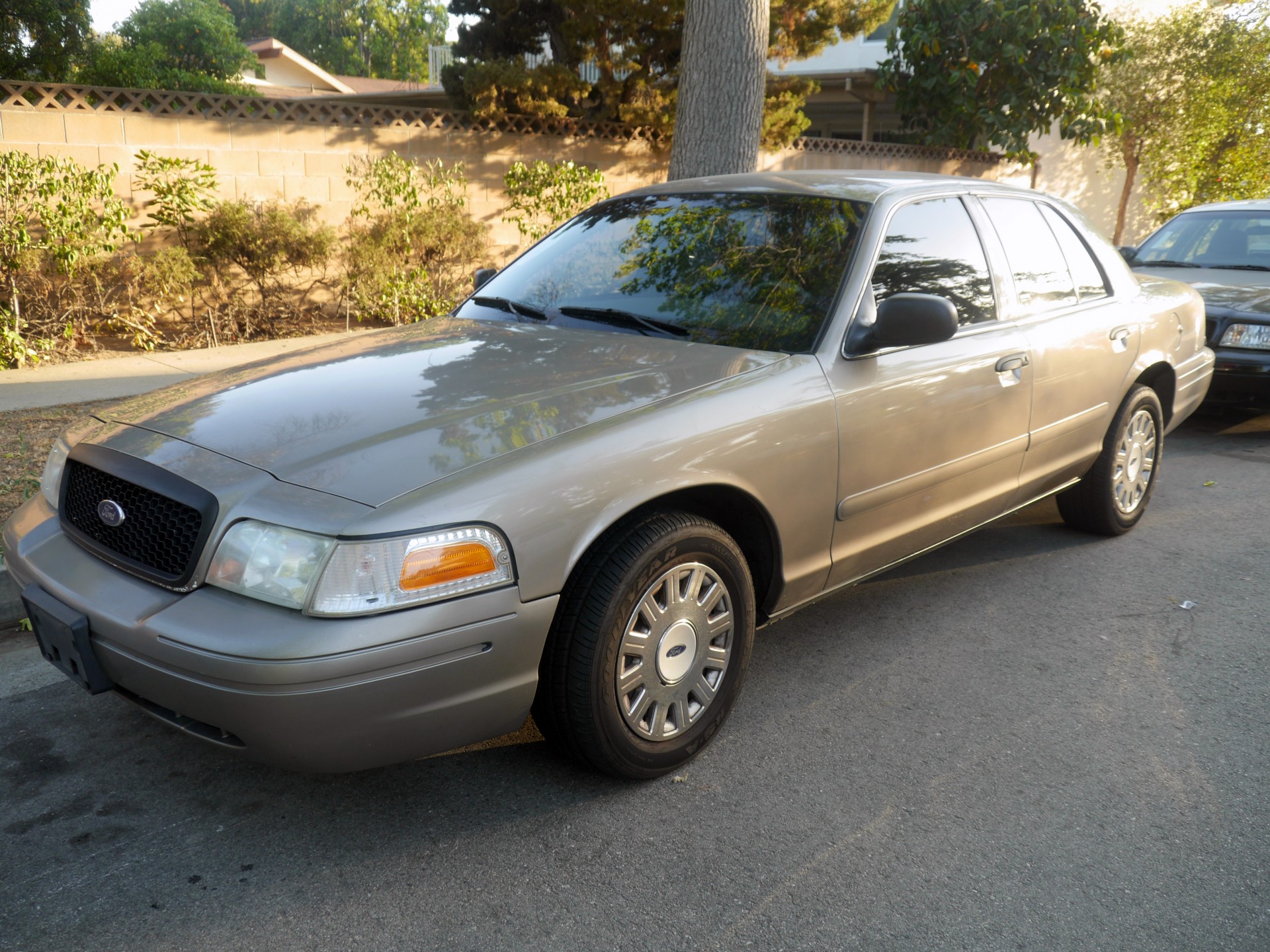 Cover image for public collection